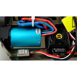 Amewi Terminator Pro 4WD brushless, 1:10