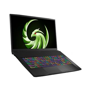Notebook 17.3" (43,94cm) MSI Bravo 17 A4DDR-073 (0017FK-073)