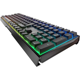 CHERRY MX Board 3.0 S CHERRY MX RGB Silent Red USB Deutsch schwarz