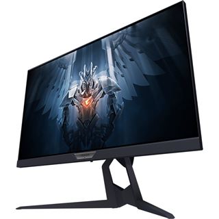 24,5" (62,23cm) Gigabyte AORUS FI25F schwarz 1920x1080 1x