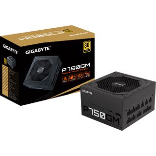 750 Watt Gigabyte P750GM Modular 80+ Gold