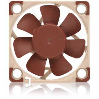 Noctua NF-A4x10 FLX 40x40x10mm 3700-4500 U/min 12.9-17.9 dB(A)