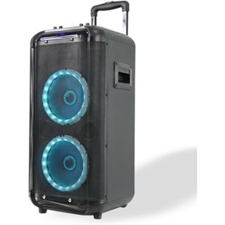 Denver 10" Bluetooth-Trolley-Lautsprecher TSP-450