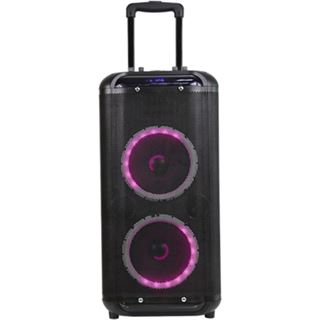 Denver 10" Bluetooth-Trolley-Lautsprecher TSP-450
