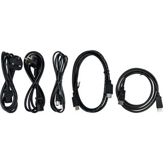 15" (38,10cm) iiyama ProLite TF1534MC-B7X schwarz 1024x768 1xDP