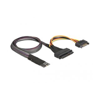 Delock M.2 Key M zu U.2 SFF-8639 NVMe Adapter mit 50 cm Kabel