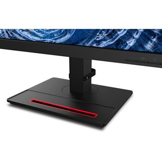 23,8" (60,47cm) Lenovo ThinkVision T24i-2L schwarz 1920x1080 1x