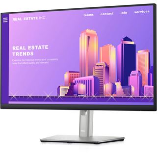 23,8" (60,47cm) Dell P2422H schwarz/grau 1920x1080 1x