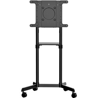 Startech Mobiler TV-Wagen Tragbarer rollender TV-Ständer