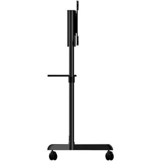 Startech Mobiler TV-Wagen Tragbarer rollender TV-Ständer