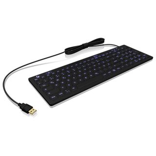 KeySonic KSK-6031 INEL-B USB Deutsch schwarz (kabelgebunden)