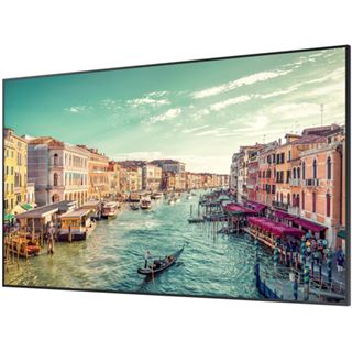 65" (165,10cm) Samsung QM65R schwarz 3840x2160 1x DisplayPort