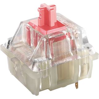 Cherry TAS G80-3000N RGB TKL US-Layout schwarz