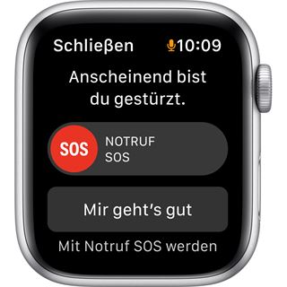 Apple Watch SE Nike Alu 44mm Silver (Platinum/Black)