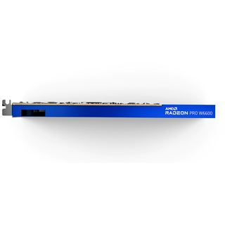 8GB AMD Radeon Pro W 6600 Aktiv PCIe 4.0 x16 (x8) (Retail)