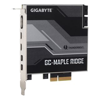 Gigabyte GC-MAPLE RIDGE 1er-Pack für Mini Displayport (GC-MAPLE