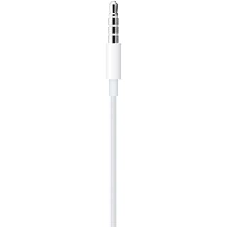 Apple EarPods IE Headphones white BULK