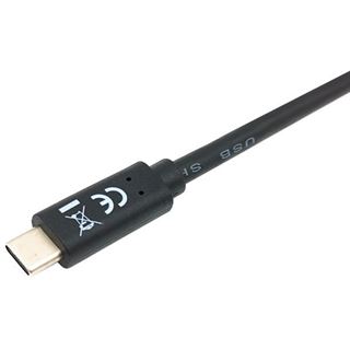 (&euro;7,90*/1m) 1.00m Equip USB3.2 Verbindungskabel USB A Stecker
