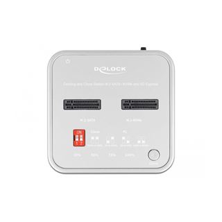 Delock Dockingstation f&uuml;r 1 x M.2 NVMe SSD + 1 x M.2 SATA SSD