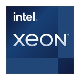 Intel Xeon E-2356G 6x 3.20GHz So.1200 TRAY