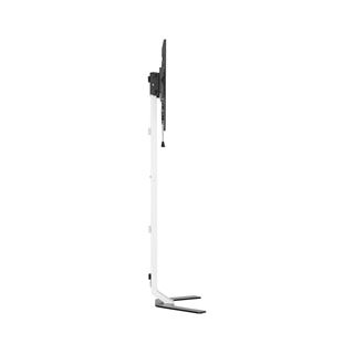 Techly TV Standfuß Super Slim LCD/LED/PlasmaTV 32-70"