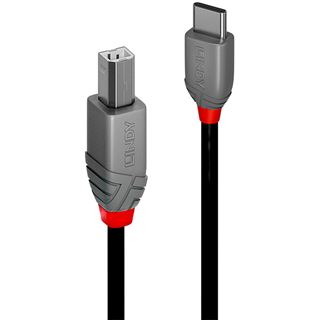(€15,80*/1m) 0.50m Lindy USB USB 2.0 Typ C auf USB 2.0 Typ B