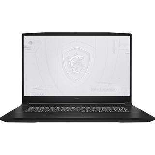 Notebook 17.3" (43,94cm) MSI WF76 11UJ-806