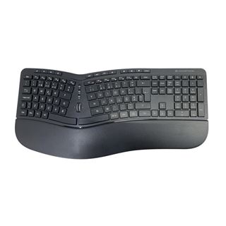 Conceptronic Wireless Keyboard+Mouse,ergo, portugiesisches Layout,