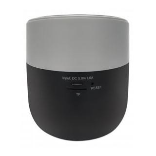 Manhattan Bluetooth-Lautsprecher mit Induktionsladepad