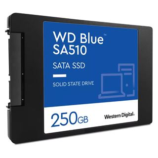 250GB WD Blue SA510 2.5" (6.4cm) SATA (WDS250G3B0A)