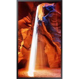 55" (139,70cm) Samsung OMN-D Serie LH55OMNSLGBEN schwarz