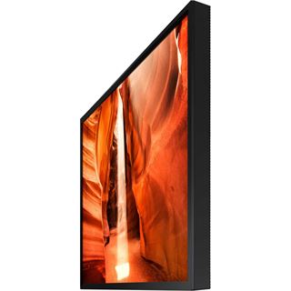 55" (139,70cm) Samsung OMN-D Serie LH55OMNSLGBEN schwarz