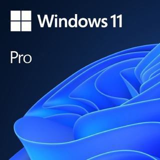 MICROSOFT Windows 11 Pro FPP 64-bit English International 1 License