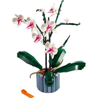 LEGO Icons 10311 Orchidee, Set für Erwachsene mit