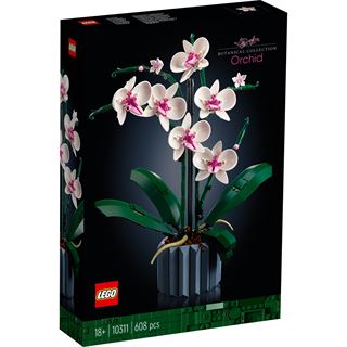 LEGO Icons 10311 Orchidee, Set für Erwachsene mit
