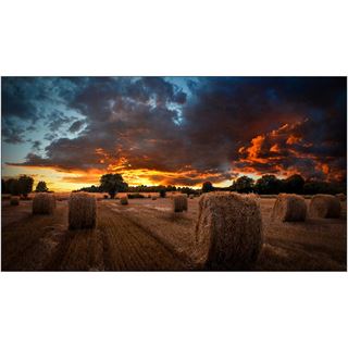 46" (116,84cm) Samsung Videowall VM46B-U schwarz 1920x1080 1x