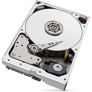 10TB Seagate IronWolf Pro ST10000NT001 256MB 3.5" (8.9cm) SATA