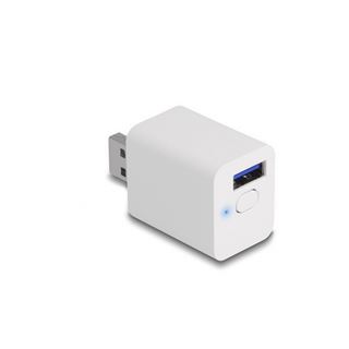 Delock WLAN EASY-USB Smart Schalter MQTT