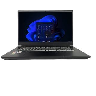 Notebook 17.3" (43,94cm) Terra Mobile Gamer Elite 5