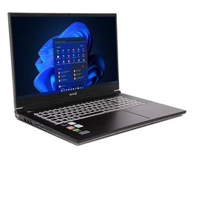 Notebook 17.3" (43,94cm) Terra Mobile Gamer Elite 5
