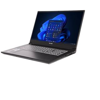 Notebook 17.3" (43,94cm) Terra Mobile Gamer Elite 5