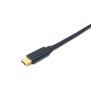 2m Equip Adapter USB-C -> DisplayPort 4K60Hz sw