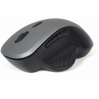 Gembird 6B-02 USB schwarz/grau (kabellos)