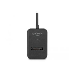 Delock Combo Konverter f&uuml;r M.2 NVMe PCIe/SATA SSD mit USB-C