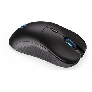 Endorfy GEM Plus 2.4 GHz und USB schwarz (kabellos)