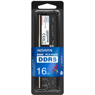 16GB ADATA Premier Tray DDR5-5600 DIMM CL46 Single