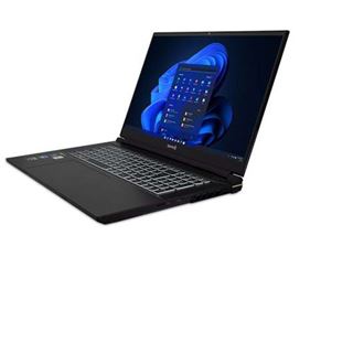 Notebook 17.3" (43,94cm) Terra MOBILE GAMER ELITE 5v2 i9-13900HX