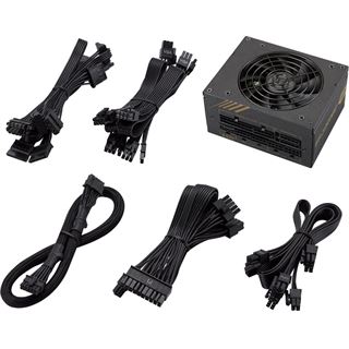 850 Watt FSP Group Dagger Pro Modular 80+ Gold