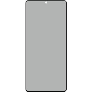 E.V.I. DISPLEX PRIVACY GLASS 3D