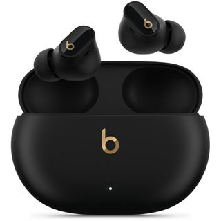 Apple Beats Studio Buds + TRUE WL NOISE CL EARBUDS - BLACK/GOLD